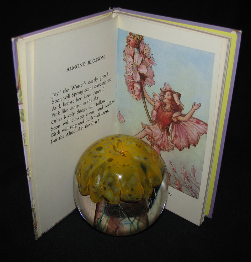 1965 Book - Cicely Mary Barker - FLOWER FAIRIES of the Trees