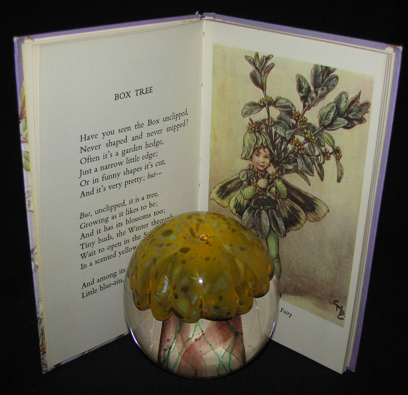 1965 Book - Cicely Mary Barker - FLOWER FAIRIES of the Trees