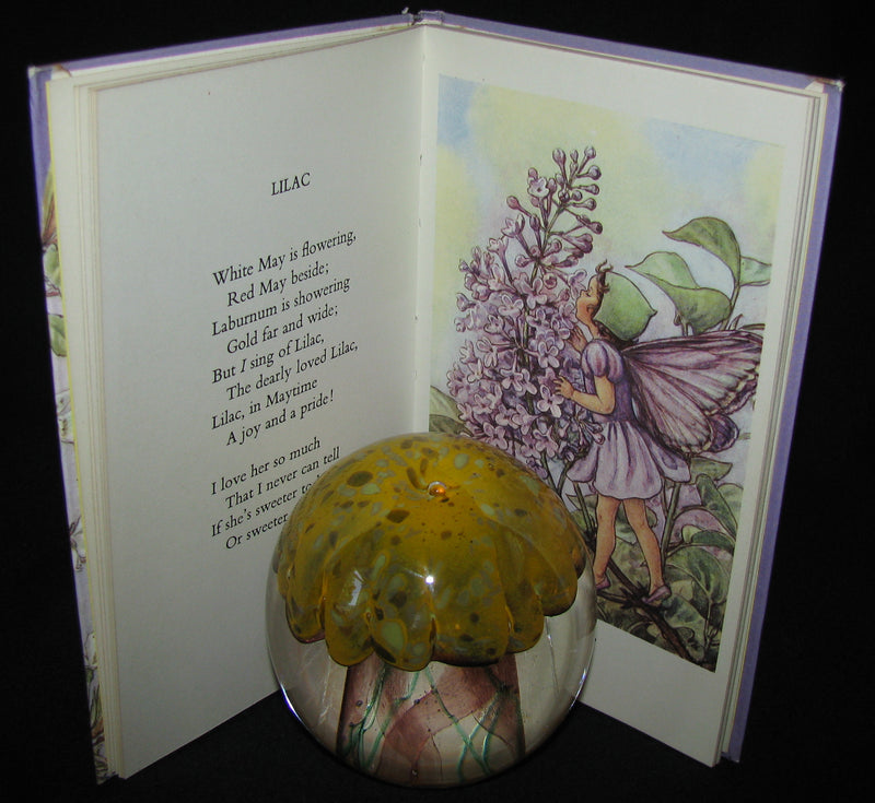 1965 Book - Cicely Mary Barker - FLOWER FAIRIES of the Trees