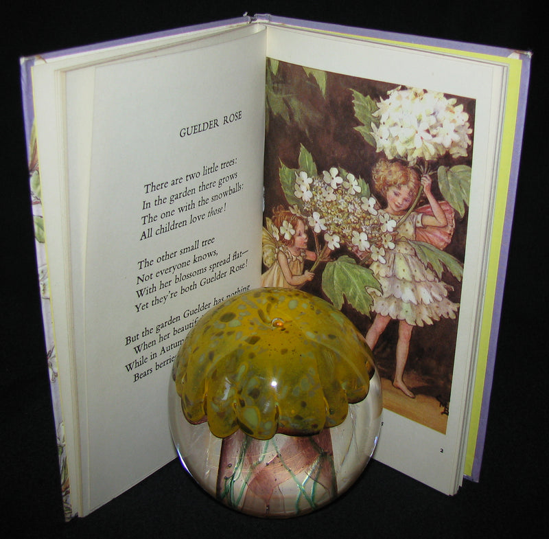 1965 Book - Cicely Mary Barker - FLOWER FAIRIES of the Trees