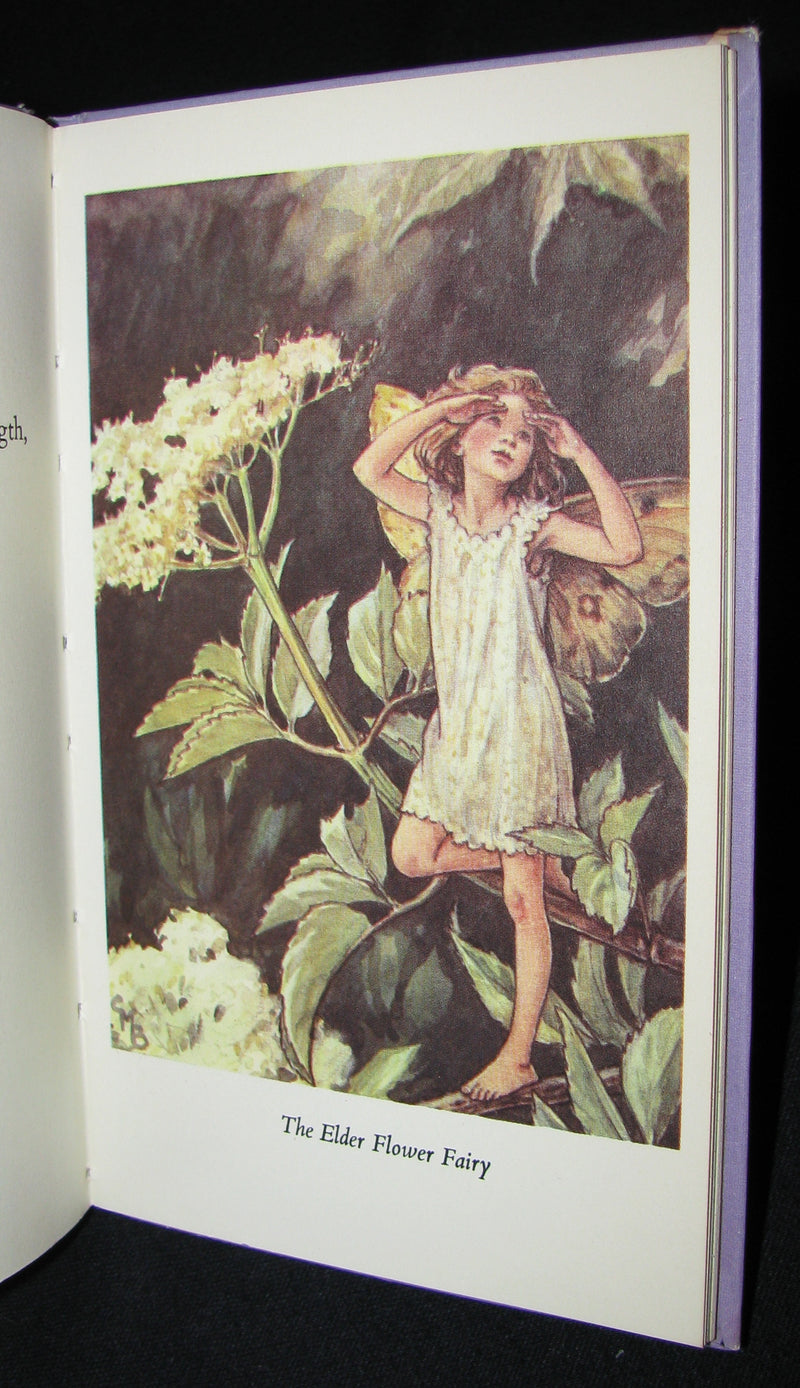 1965 Book - Cicely Mary Barker - FLOWER FAIRIES of the Trees
