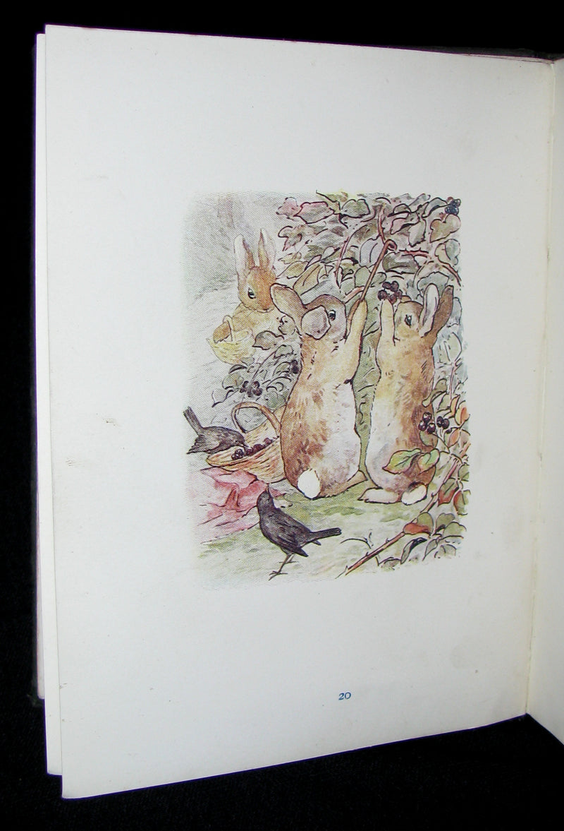 1910 Rare Book - Beatrix Potter  - THE TALE OF PETER RABBIT