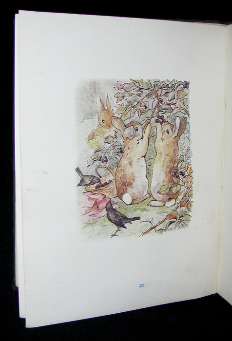 1910 Rare Book - Beatrix Potter  - THE TALE OF PETER RABBIT