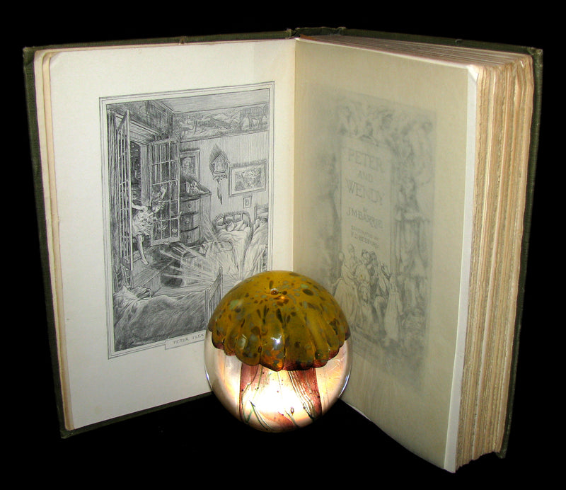 1911 Rare Book  - Peter Pan First Edition - Peter and Wendy by James Matthew Barrie