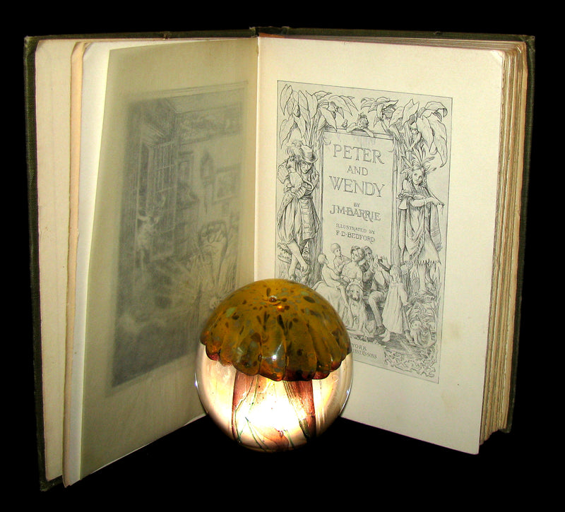 1911 Rare Book  - Peter Pan First Edition - Peter and Wendy by James Matthew Barrie