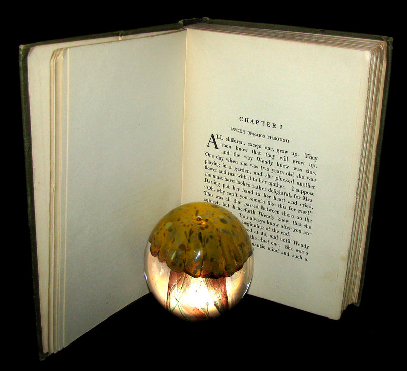 1911 Rare Book  - Peter Pan First Edition - Peter and Wendy by James Matthew Barrie