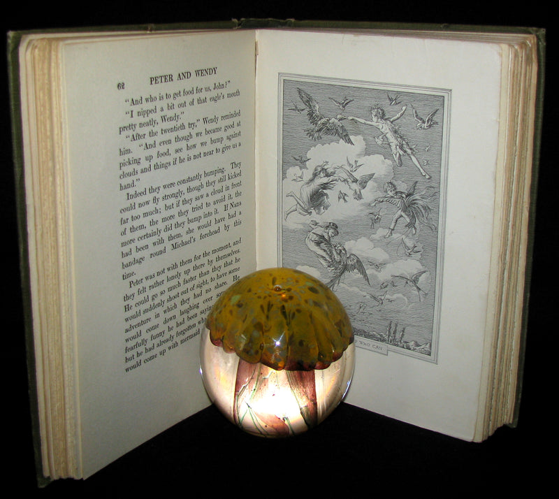1911 Rare Book  - Peter Pan First Edition - Peter and Wendy by James Matthew Barrie