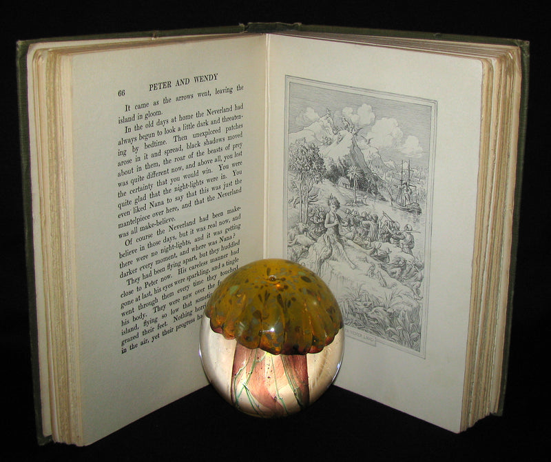 1911 Rare Book  - Peter Pan First Edition - Peter and Wendy by James Matthew Barrie