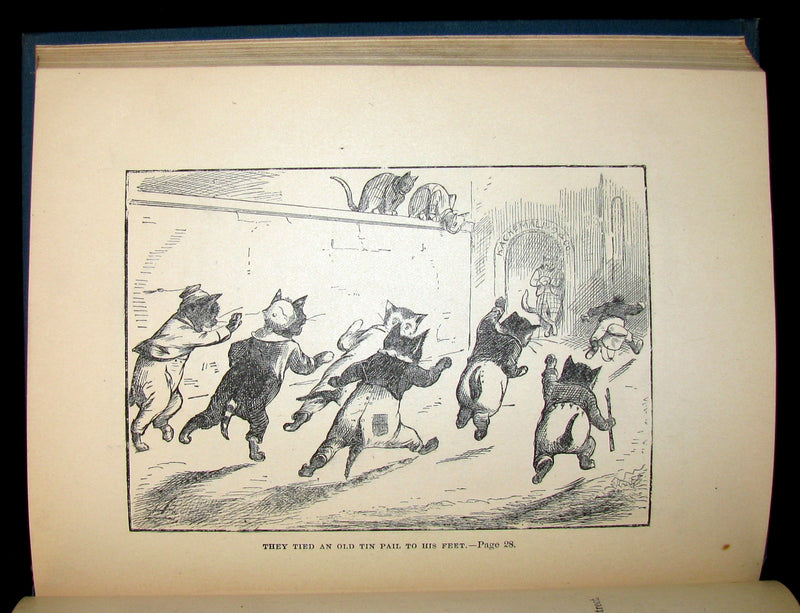 1880 Scarce First Edition Book - KARL and THE QUEEN OF QUEER-LAND. Illustrated.