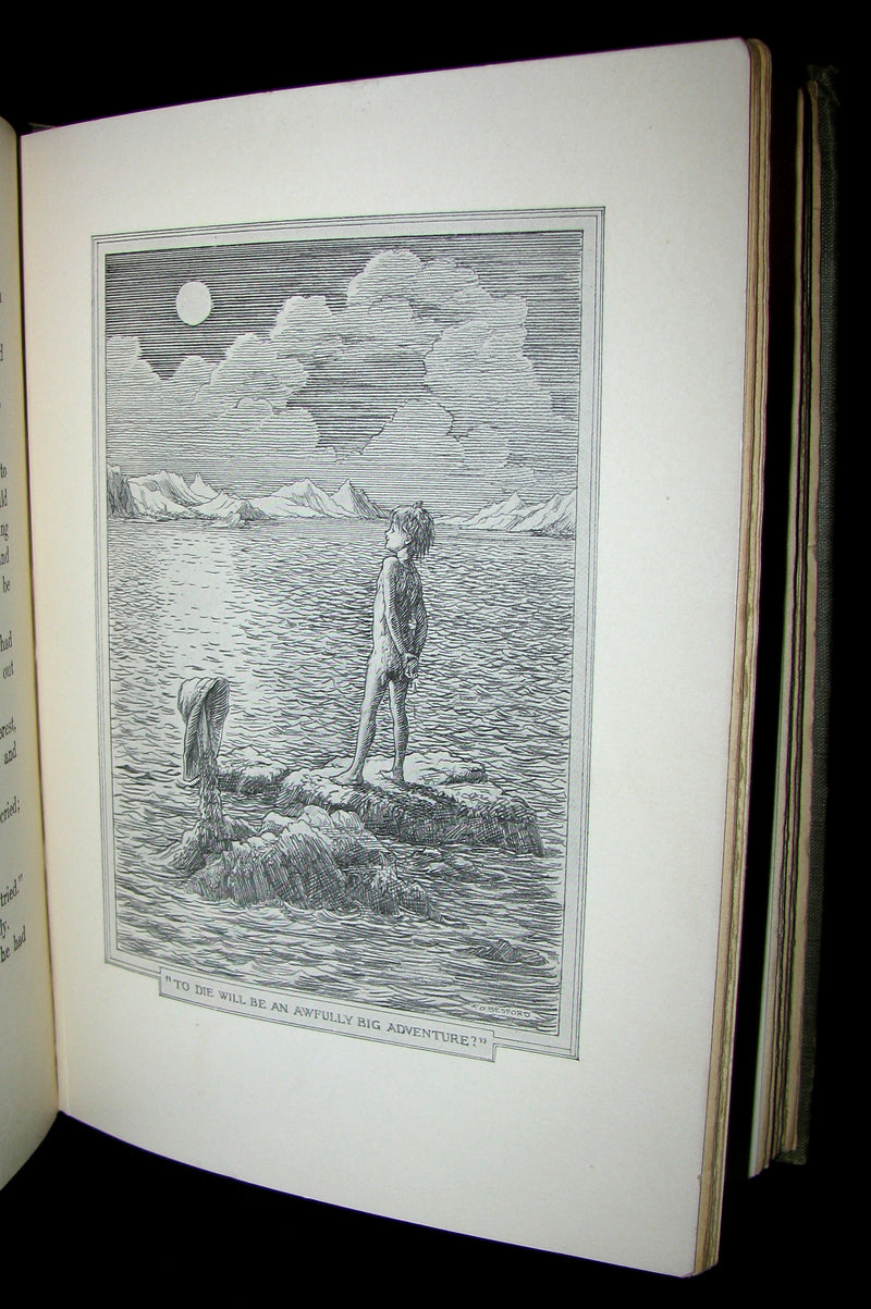 1911 Rare Book  - Peter Pan First Edition - Peter and Wendy by James Matthew Barrie