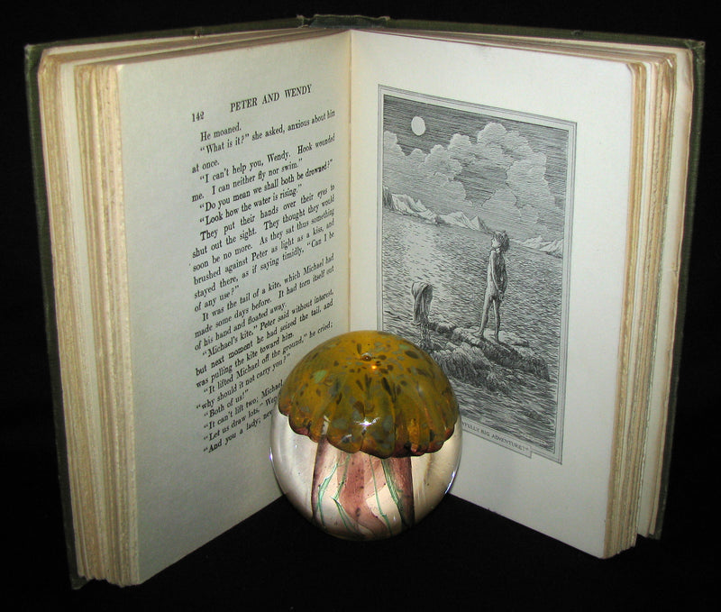 1911 Rare Book  - Peter Pan First Edition - Peter and Wendy by James Matthew Barrie