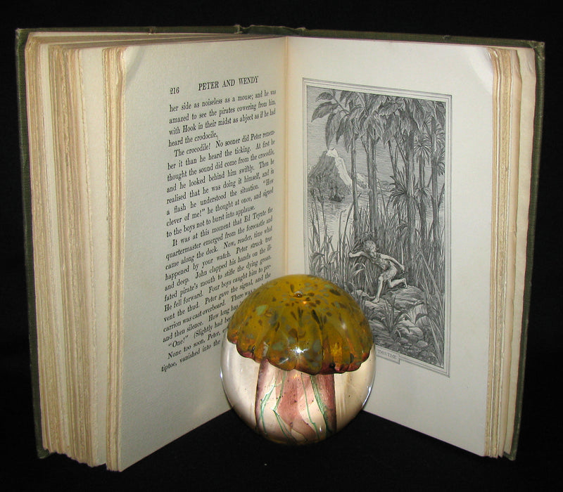 1911 Rare Book  - Peter Pan First Edition - Peter and Wendy by James Matthew Barrie