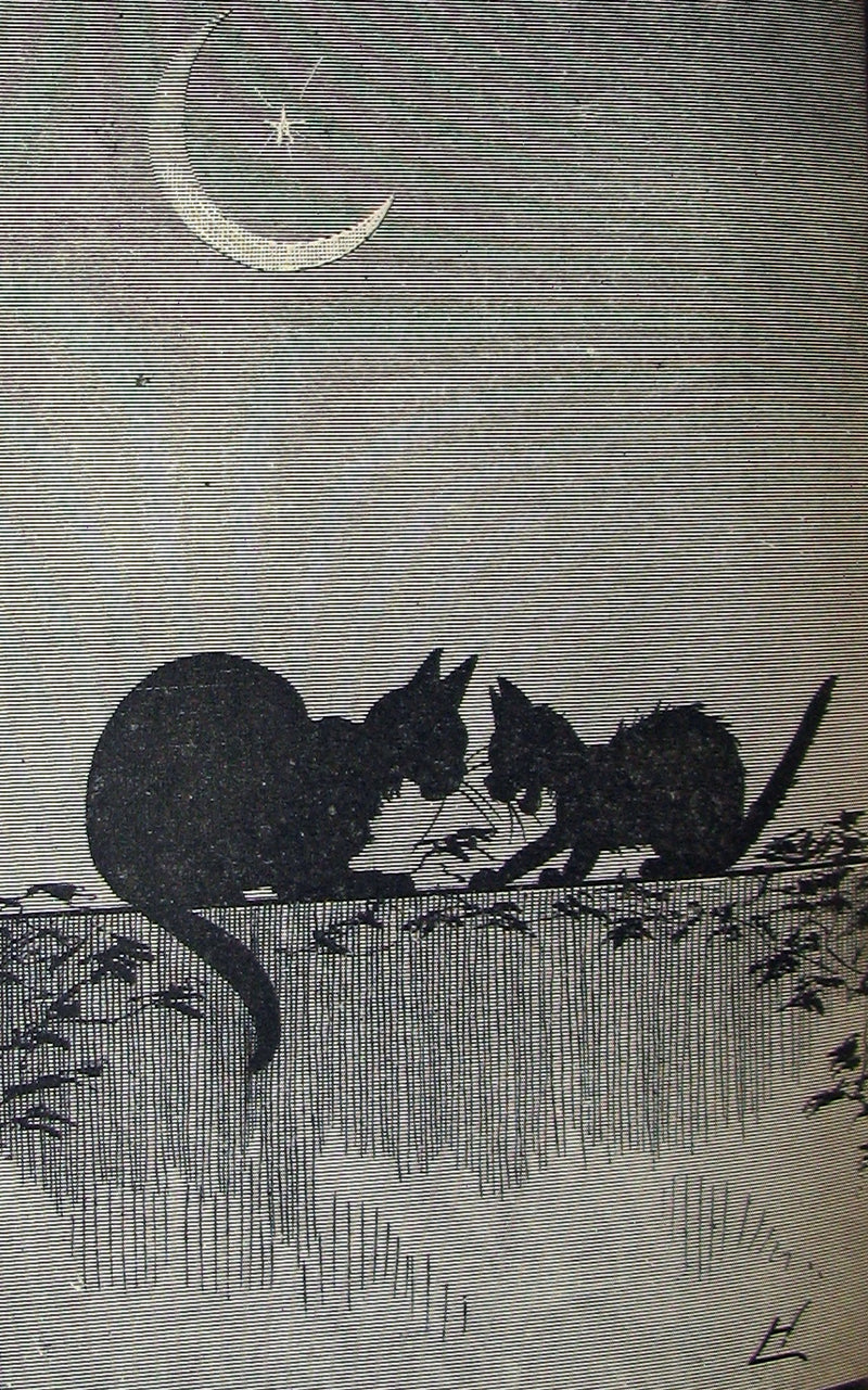 1880 Scarce First Edition Book - KARL and THE QUEEN OF QUEER-LAND. Illustrated.