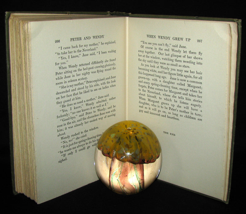1911 Rare Book  - Peter Pan First Edition - Peter and Wendy by James Matthew Barrie