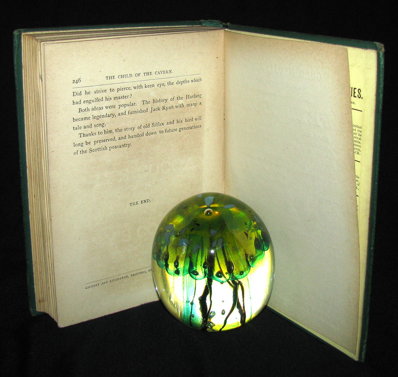 1878 Scarce Second Edition - Jules Verne Child of the Cavern Or Strange Doings Underground