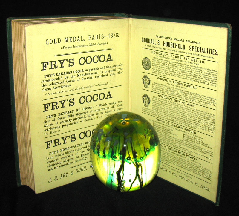 1878 Scarce Second Edition - Jules Verne Child of the Cavern Or Strange Doings Underground