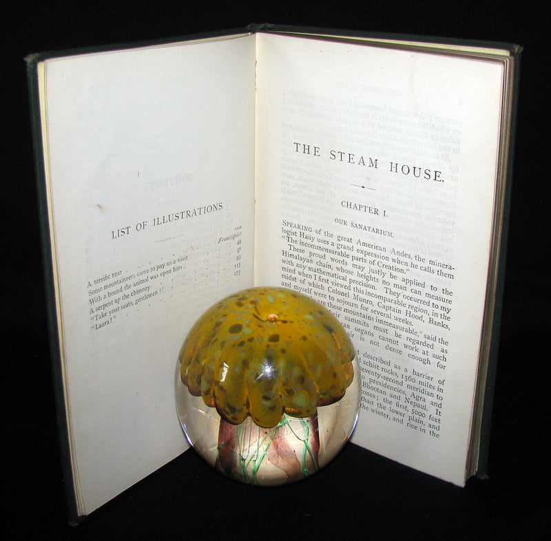 1890 Scarce Jules Verne Book - TIGERS AND TRAITORS  being the second part of The Steam House