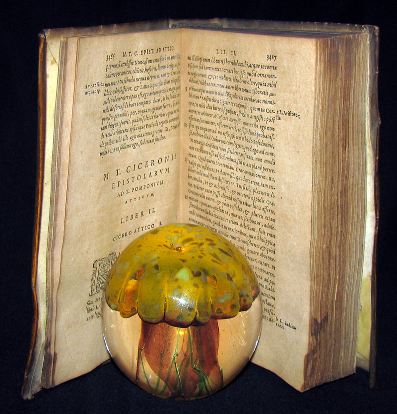 1573 Scarce Latin vellum Book - Letters of Cicero to his friend Atticus - Epistolarum ad Atticum