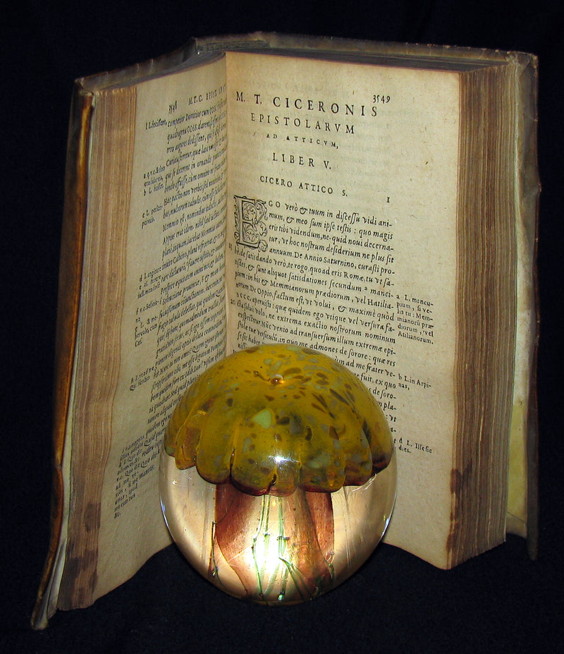 1573 Scarce Latin vellum Book - Letters of Cicero to his friend Atticus - Epistolarum ad Atticum