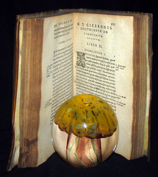 1573 Scarce Latin vellum Book - Letters of Cicero to his friend Atticus - Epistolarum ad Atticum