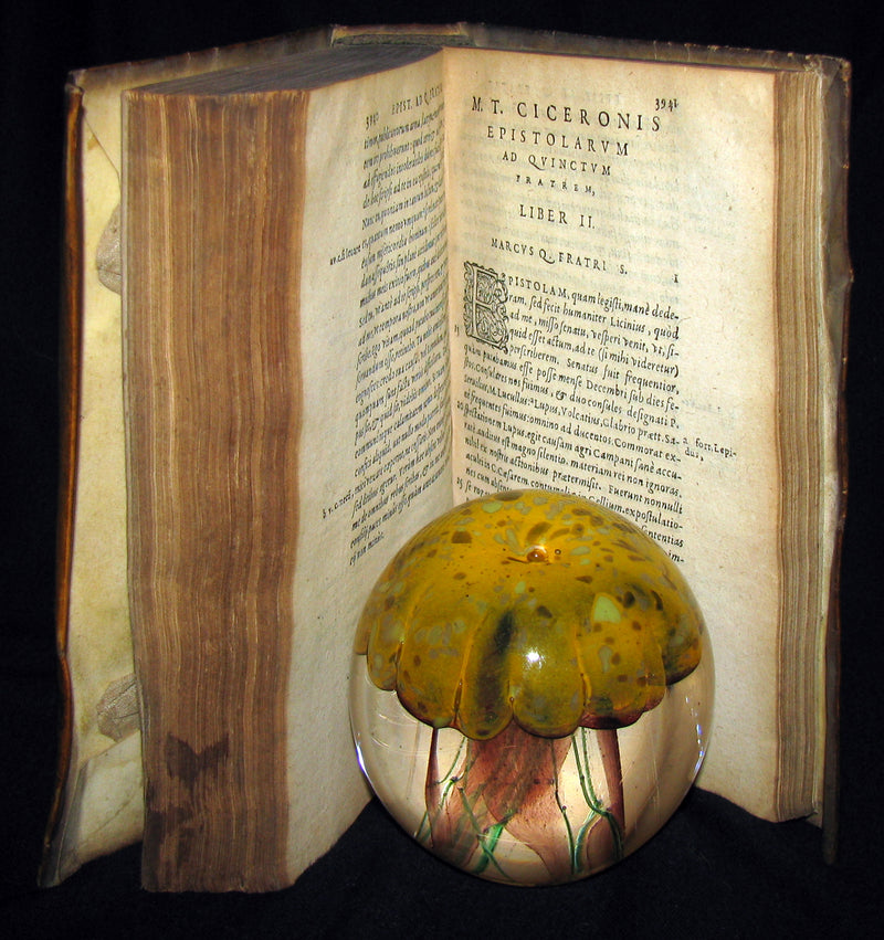 1573 Scarce Latin vellum Book - Letters of Cicero to his friend Atticus - Epistolarum ad Atticum