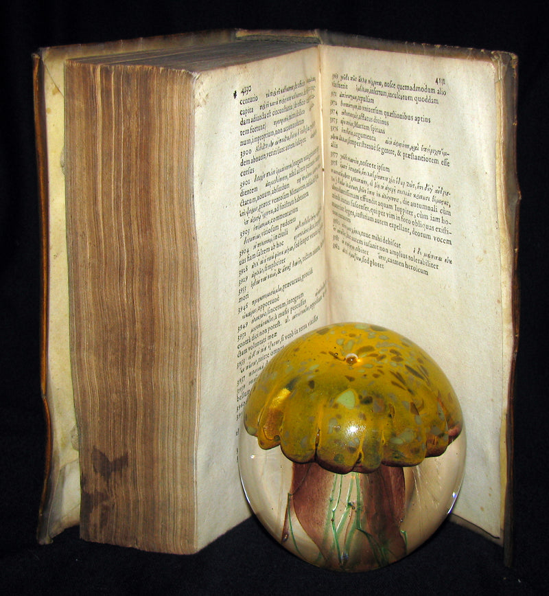 1573 Scarce Latin vellum Book - Letters of Cicero to his friend Atticus - Epistolarum ad Atticum