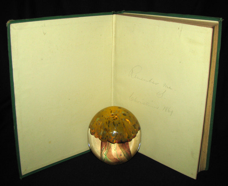 1870 Rare Victorian Book - The Poetical Works of Edgar Allan POE (The Raven, Lenore, Ulalume, ...)