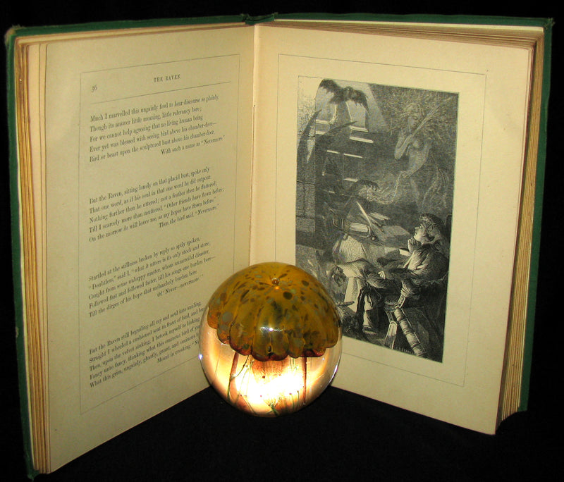 1870 Rare Victorian Book - The Poetical Works of Edgar Allan POE (The Raven, Lenore, Ulalume, ...)