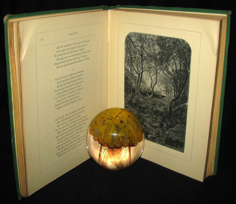 1870 Rare Victorian Book - The Poetical Works of Edgar Allan POE (The Raven, Lenore, Ulalume, ...)