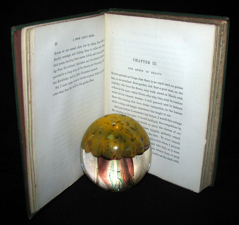 1870 Rare Victorian Gardening Book -  A book about Roses : How to grow and show them