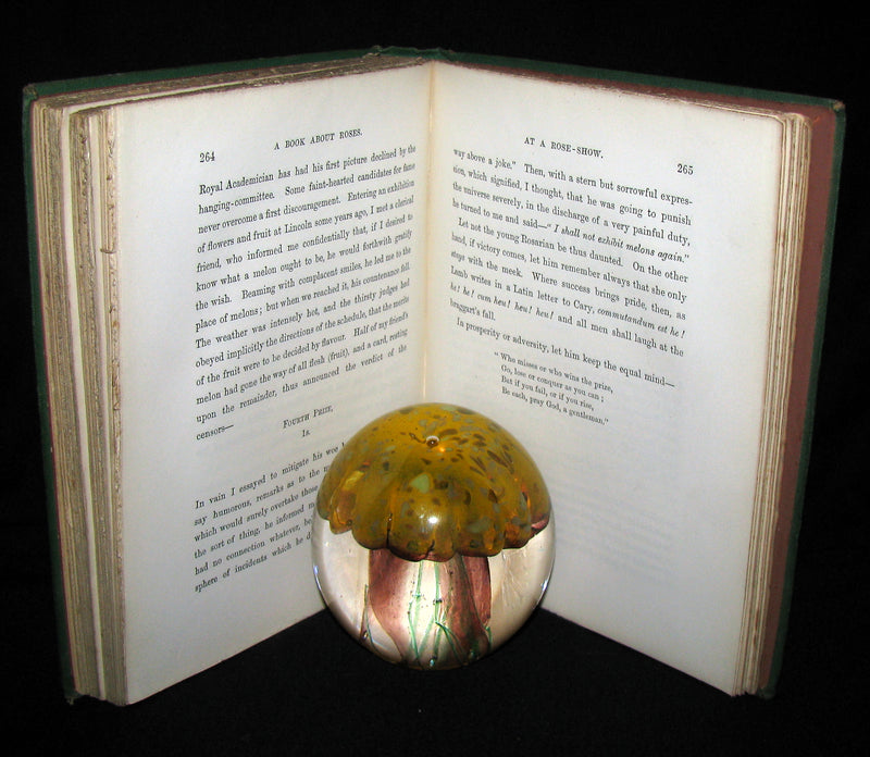 1870 Rare Victorian Gardening Book -  A book about Roses : How to grow and show them