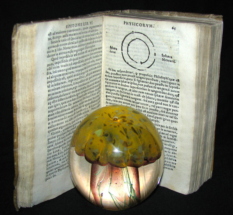 1589 Scarce Latin vellum Book - Philosophy of Aristotle, including his Meteorology Treatise.