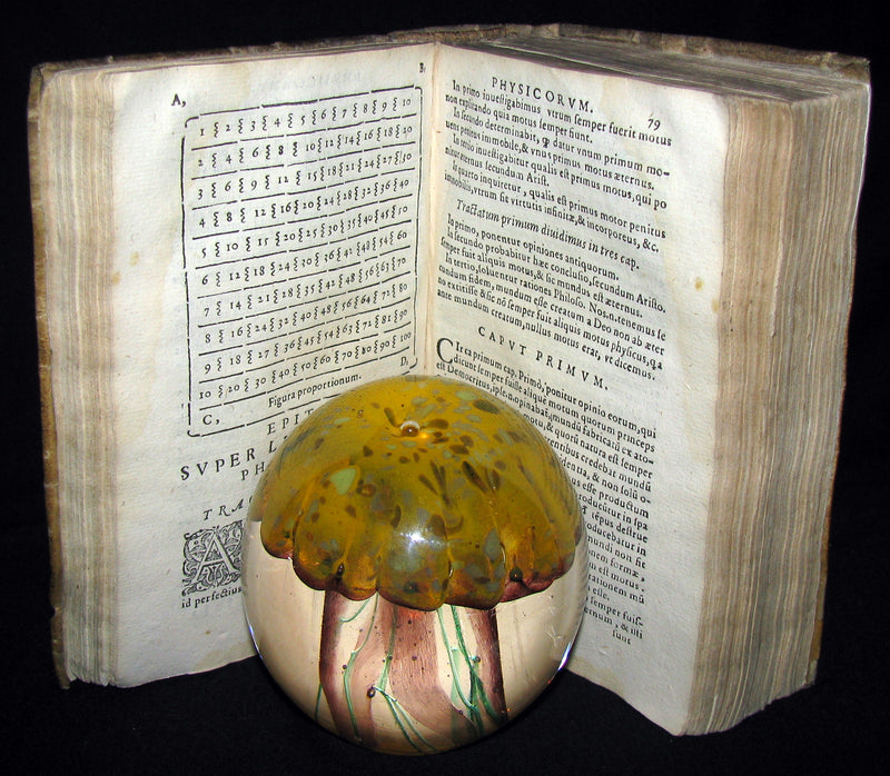 1589 Scarce Latin vellum Book - Philosophy of Aristotle, including his Meteorology Treatise.