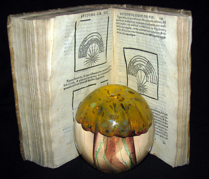 1589 Scarce Latin vellum Book - Philosophy of Aristotle, including his Meteorology Treatise.