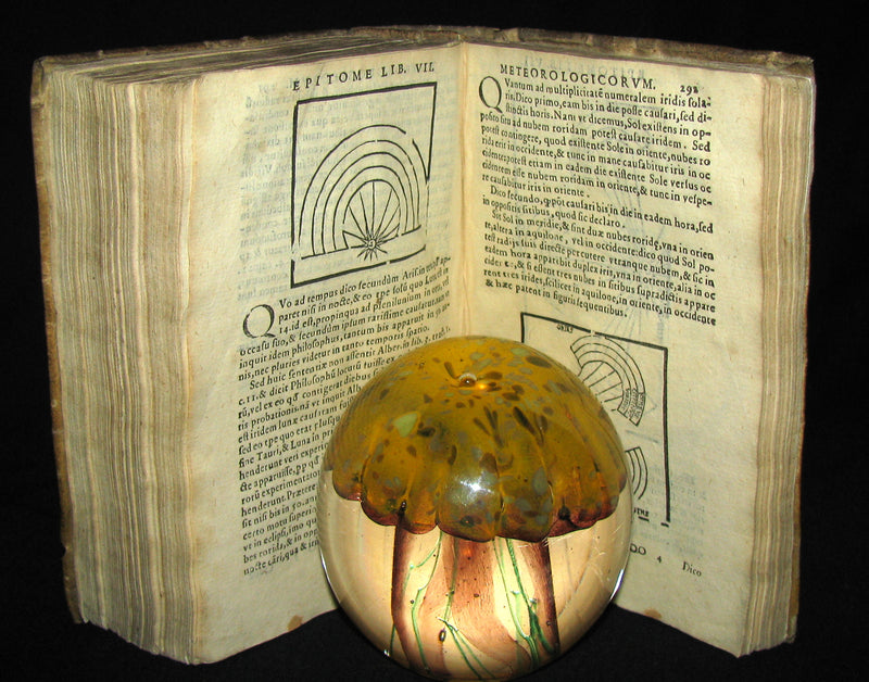 1589 Scarce Latin vellum Book - Philosophy of Aristotle, including his Meteorology Treatise.