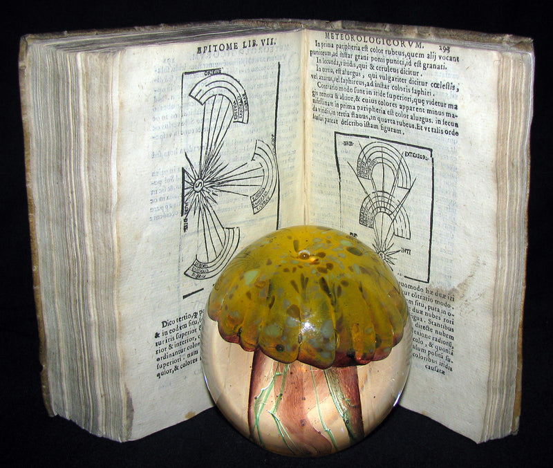 1589 Scarce Latin vellum Book - Philosophy of Aristotle, including his Meteorology Treatise.