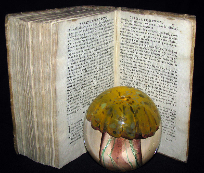 1589 Scarce Latin vellum Book - Philosophy of Aristotle, including his Meteorology Treatise.