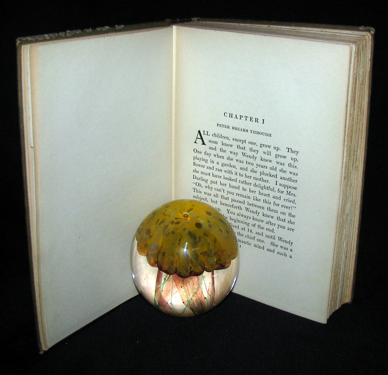 1911 Rare Book  - Peter Pan First Edition - Peter and Wendy by James Matthew Barrie