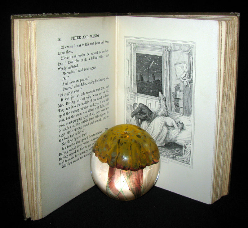 1911 Rare Book  - Peter Pan First Edition - Peter and Wendy by James Matthew Barrie