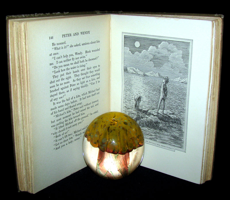 1911 Rare Book  - Peter Pan First Edition - Peter and Wendy by James Matthew Barrie