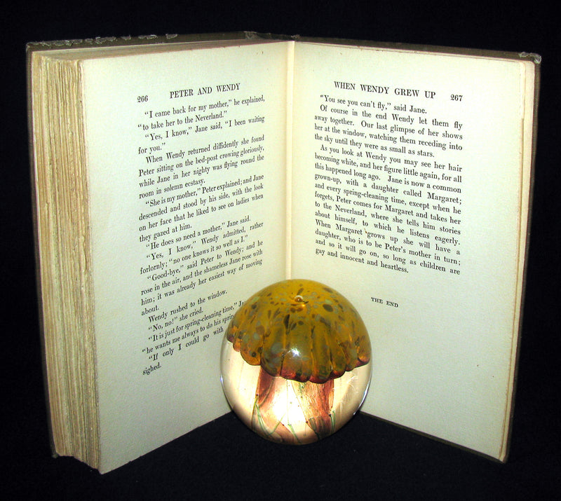 1911 Rare Book  - Peter Pan First Edition - Peter and Wendy by James Matthew Barrie