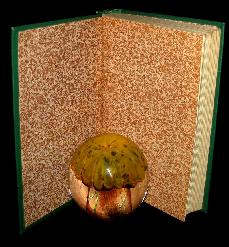 1883 Rare Book - The Tour of the World in Eighty Days by Jules Verne - Rare early edition