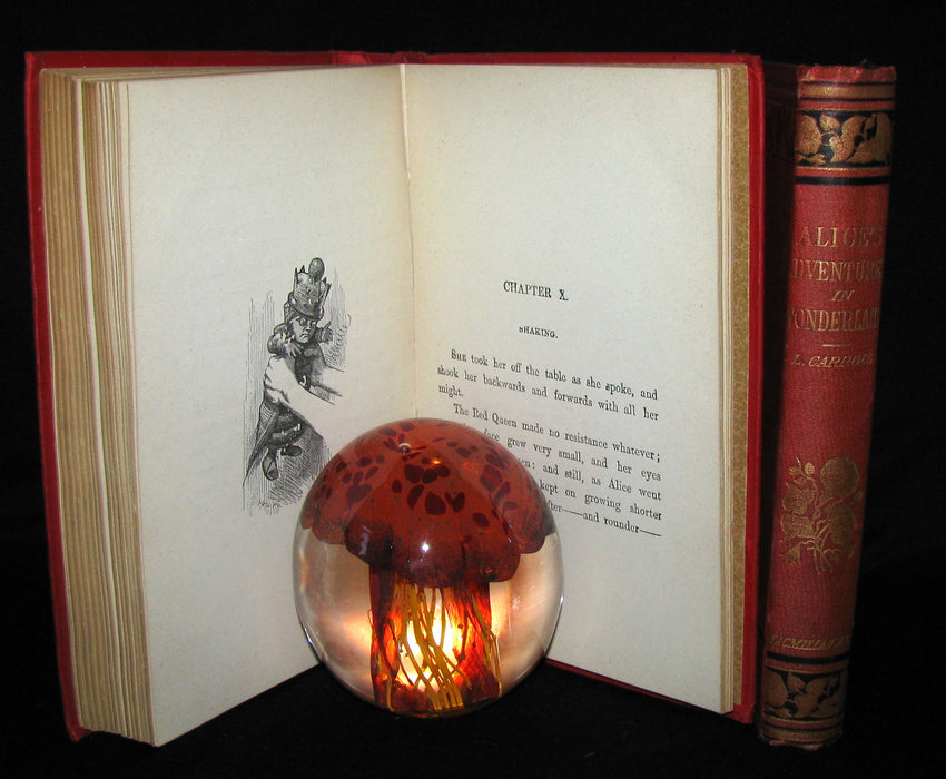 1889 Rare Victorian Bookset - Alice's Adventures in Wonderland & Through the Looking-Glass L Carroll