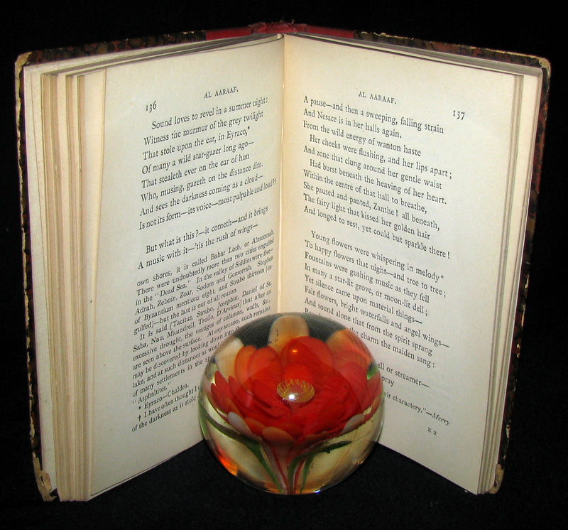 1887 Rare Book - Poems by Edgar Allan POE (The Raven, Lenore, Ulalume, ...)