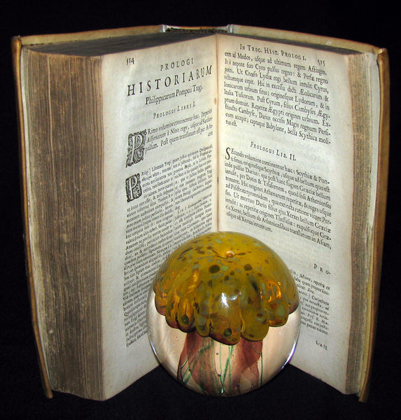 1669 Rare Latin vellum Book - Justin's History of the Kings of Macedonia - Justinus