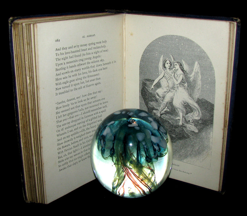 1860 Rare Victorian Book - The Poetical Works of EDGAR ALLAN POE. Illustrated.