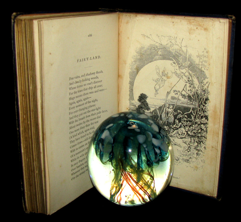 1860 Rare Victorian Book - The Poetical Works of EDGAR ALLAN POE. Illustrated.