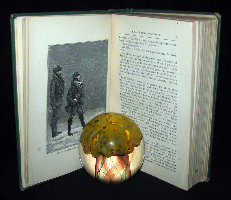 1875 Rare Victorian Book - JULES VERNE - The FUR COUNTRY or Seventy Degrees North Latitude