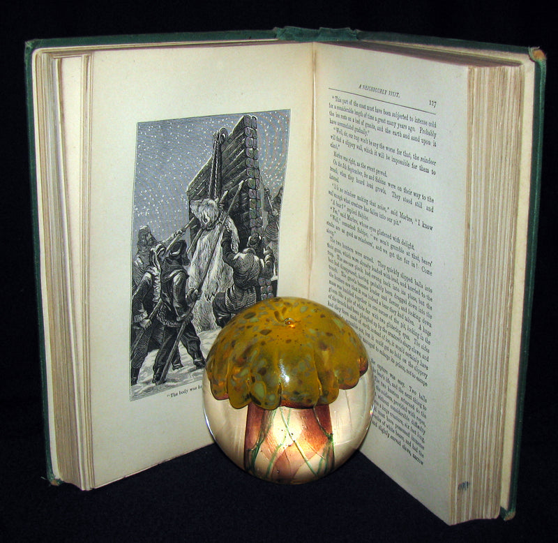 1875 Rare Victorian Book - JULES VERNE - The FUR COUNTRY or Seventy Degrees North Latitude