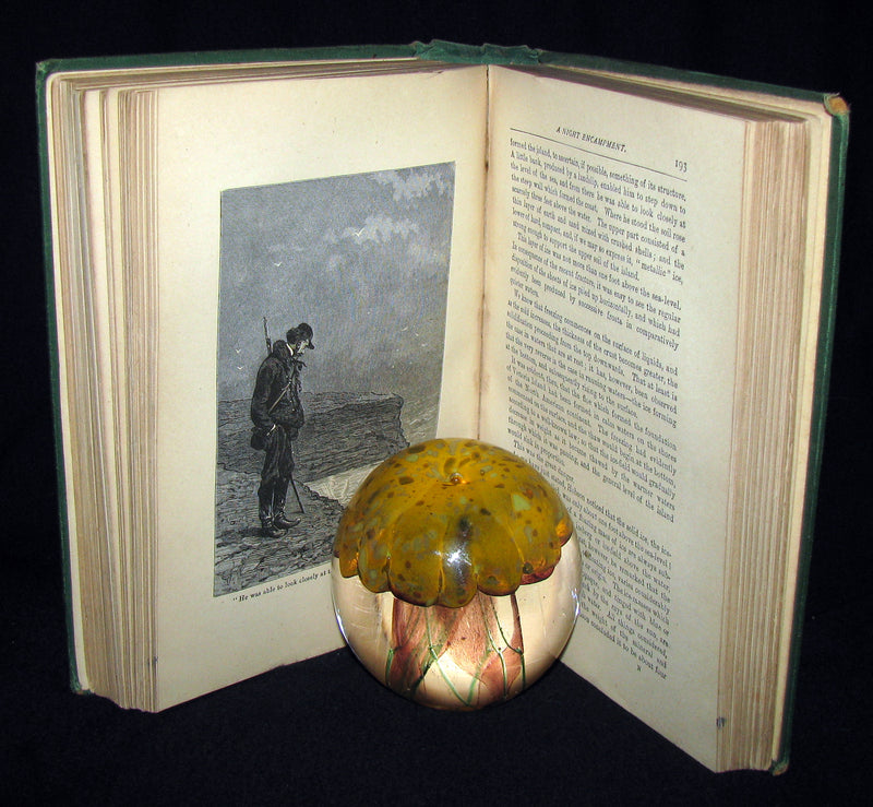 1875 Rare Victorian Book - JULES VERNE - The FUR COUNTRY or Seventy Degrees North Latitude